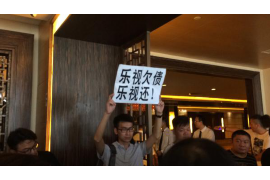 麻栗坡清债公司排名：揭秘债务清理领域的佼佼者