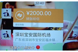 南阳讨债公司排名：揭秘南阳地区债务回收领域的佼佼者